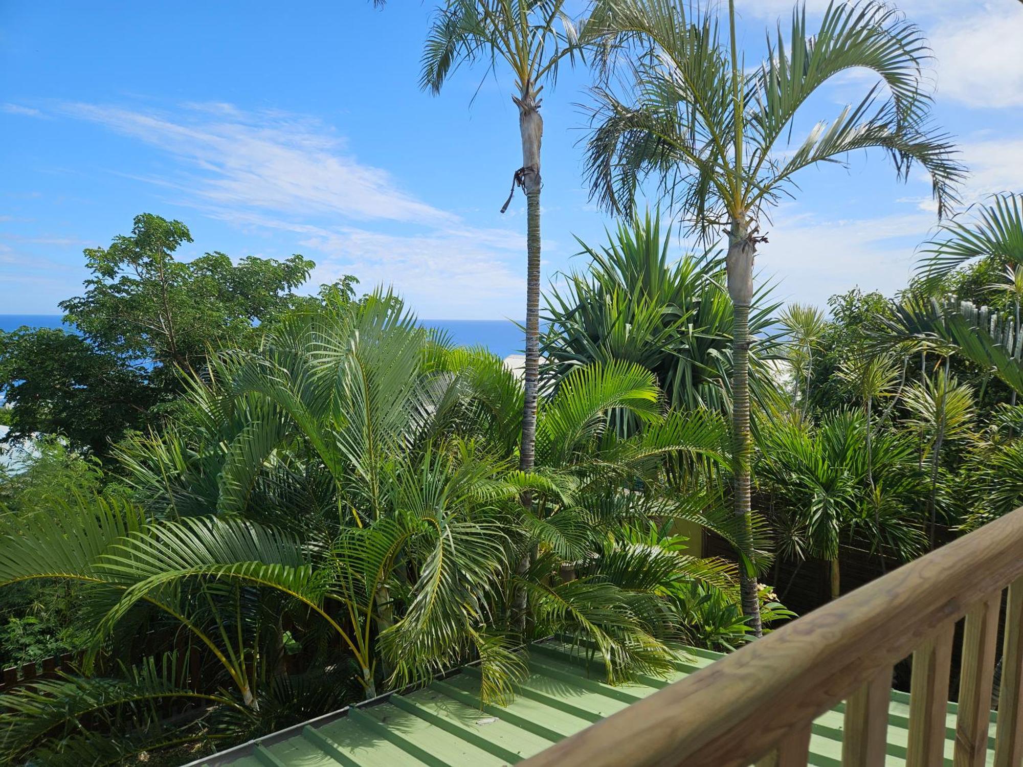 L'Ile En Ylang Apartment Saint-Leu Exterior foto